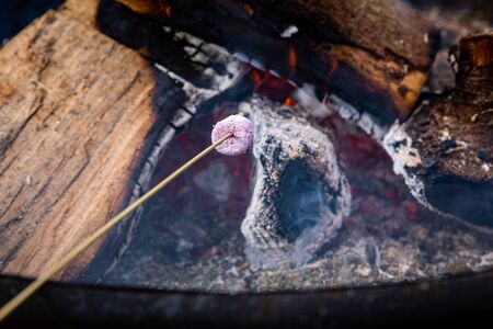 A Sweet Hot Marshmellow Gets Roasted Over an Open Fireplaceの写真素材
