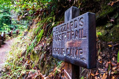 Buzzard's Roost Trail In California's Big Surの写真素材