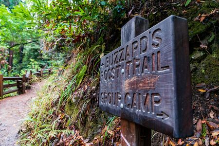 A Trail Walk In Big Sur. Buzzard's Roost Trail Is A Beautiful National Park Hiking Track In Californiaの写真素材