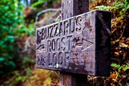 Buzzard's Roost Loop In Californiaの写真素材