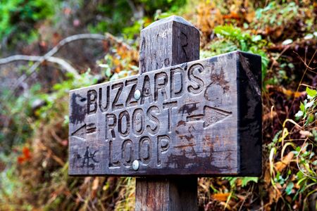 Buzzard's Roost Loop Trail Walk In California's Big Sur Region Is A Beautiful Experienceの写真素材