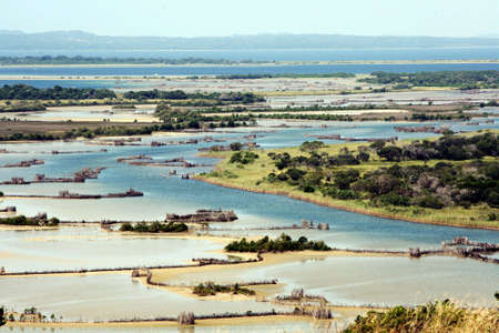 Patterns of Traditional African Fish kraals at Kosi Bay South Africaの写真素材