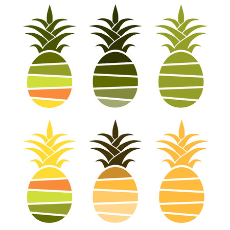 Set of bright colored pineapples. Sliced ??vector pineapples. Flat fruit designのイラスト素材