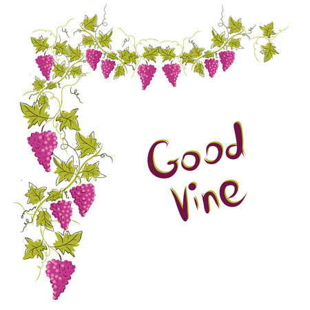 Stylized graphic image of a vine with grapes. Decorative square frame with branch of grapes, grape leaves. Good vine. Vector image.のイラスト素材
