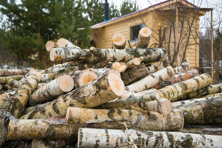 A shoot of stack of birch logs, prepared for firewoodの写真素材