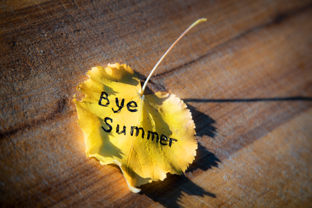 Yellow leaves with an inscription BYE SUMMER on a wooden blue wooden backgroundの写真素材