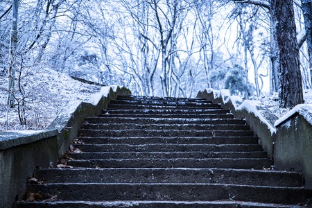 snowy stairs in the winter parkの写真素材