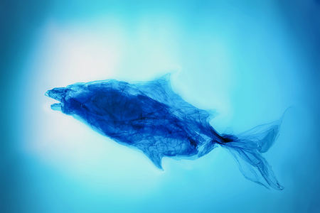 Pollution concept. Plastic bag floating in the ocean with copy spaceの写真素材