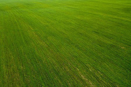 Aerial view of arable fields and plantation. Countryside. Rural landscapeの写真素材