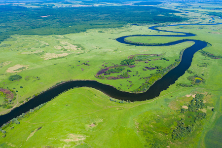 Aerial view of lush coastal wetlandsの写真素材