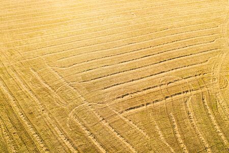 Aerial view of agricultural fieldsの写真素材