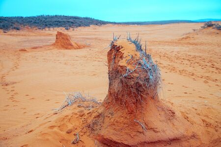 Kalmykia, Russia - Sand pillars in the desert.の写真素材