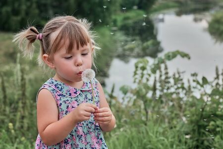 Little curly girl blowing dandelionの写真素材