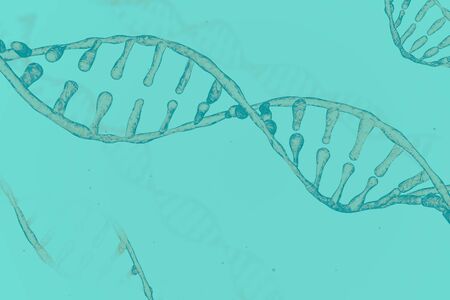 Concept of biochemistry with dna molecule on blue background 3d rendering