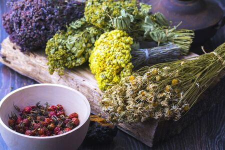 Medicinal plants and herbs composition Concept - Folk or Alternative Medicineの写真素材
