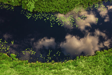 Aerial view of the lakes with reflection of blue sky and clouds in the water in the middle of the forest in Valday, Russia. High quality photoの写真素材