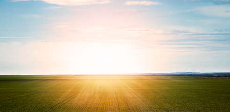 Bright sunset over green field. High quality photoの写真素材