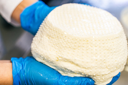 Production of mozzarella cheese, ricotta. Cheese preparations in the hands of a cheese maker. Close-up. Selected Focus. High quality photoの写真素材