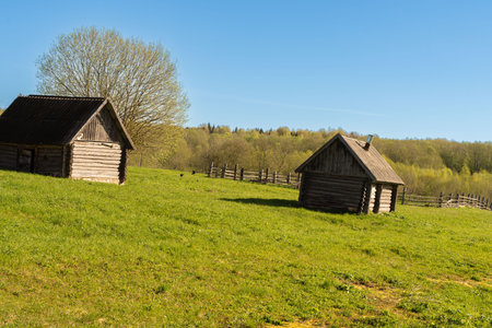 Two wooden village houses on a picturesque green meadow against the background of the forest. High quality photoの写真素材