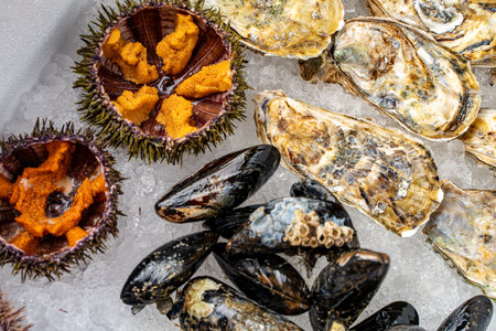 Assorted fresh seafood. Closed oysters, mussels in shells and open sea urchins on ice. High quality photoの写真素材