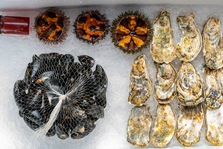 Assorted fresh seafood. Closed oysters, mussels in shells and open sea urchins on ice. High quality photoの写真素材
