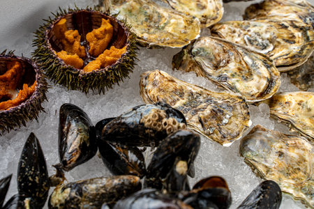 Assorted fresh seafood. Closed oysters, mussels in shells and open sea urchins on ice. High quality photoの写真素材