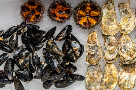 Sea urchin and oysters in shells close-up on ice.の写真素材