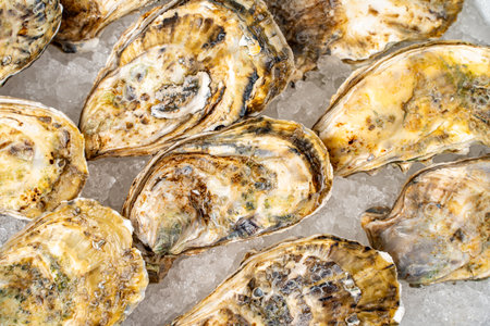 Oysters in shells close-up. The background is the texture of oyster shells. Raw seafood on ice. High quality photoの写真素材