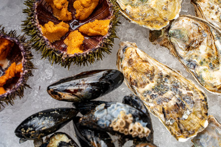 Sea urchin and oysters in shells close-up on ice. High quality photoの写真素材