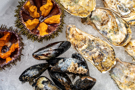 Sea urchin and oysters in shells close-up on ice. High quality photoの写真素材