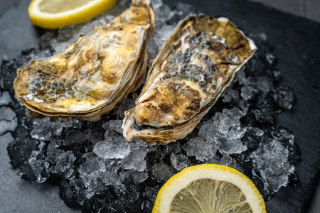 Two oysters on ice with lemon. High quality photoの写真素材