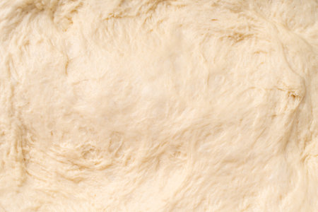 Texture of rolled dough. Background of the dough for baking. Fresh raw dough for pizza or bread baking. Close-up fermented doughs, homemade. High quality photoの写真素材
