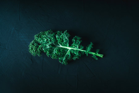 Green kale leaf on dark background, top view with copy space. Healthy detox vegetables. Clean eating and dieting concept. Top view with copy space. Health kale benefits. High quality photoの写真素材
