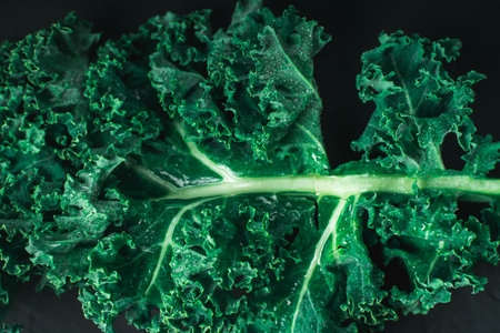 Green leaf of cabbage or kale lettuce on a dark background, close-up top view with copy space. Healthy vegetables for detoxification. Clean eating and diet concept. Health benefits of cabbage. High quality photoの写真素材