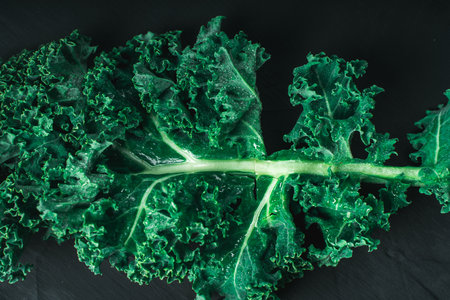 Green leaf of cabbage or kale lettuce on a dark background, close-up top view with copy space. Healthy vegetables for detoxification. Clean eating and diet concept. Health benefits of cabbage. High quality photoの写真素材