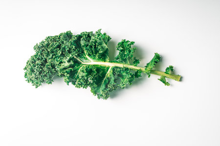 Green leaf of cabbage or kale lettuce isolated on white background, close-up with copy space. Healthy vegetables for detoxification. Clean eating and diet concept. High quality photoの写真素材