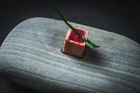 A small slice of cooked tuna, garnished with a green sprig, served on a gray stone on a dark background. The concept of minimalism in cooking. High quality photoの写真素材