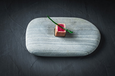 A small slice of cooked tuna, garnished with a green sprig, served on a gray stone on a dark background. The concept of minimalism in cooking. High quality photoの写真素材