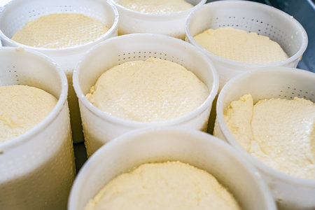 The Process of Making Fresh White Soft Whey Ricotta Cheese. High quality photoの写真素材