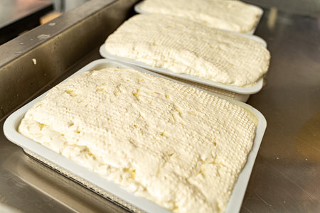 Maturation of mozzarella cheese. Close-up. High quality photoの写真素材