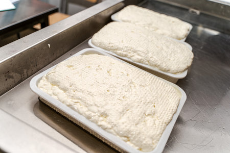 Maturation of mozzarella cheese. Close-up. High quality photoの写真素材