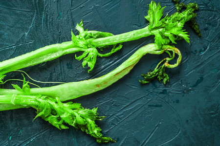 Wilted celery and cherry tomatoes with basil on a green or malachite table. High quality photoの写真素材