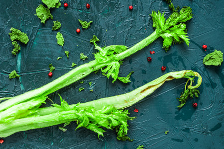 Wilted celery and cherry tomatoes with basil on a green or malachite table. High quality photoの写真素材
