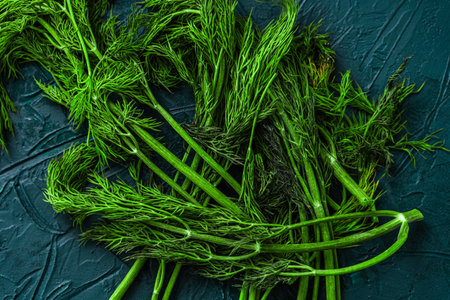 Dill on a green or malachite background. High quality photoの写真素材