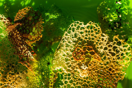 Green chips to decorate dishes. Background with edible lace texture. High quality photo