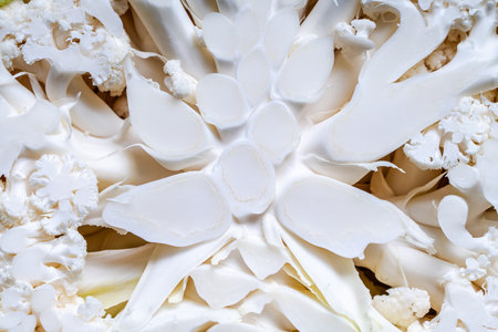 Close-up, cut of cauliflower. Vegetable food background, use for banner, design. View from above. High quality photoの写真素材