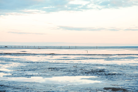 Salt mining, Baskunchak salt lake. High quality photo