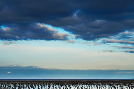 Salt Lake. Wooden poles for the production of salt in water. Clouds are reflected in the lake at sunset. High quality photoの写真素材