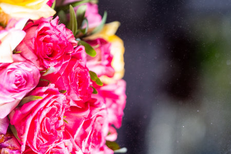 Bouquet of bright pink roses close-up. Background with fresh flowers. High quality photoの写真素材