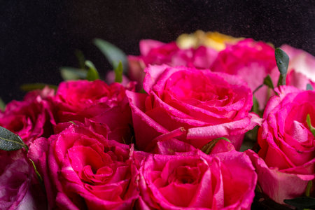 Bouquet of bright pink roses close-up. Background with fresh flowers. High quality photoの写真素材